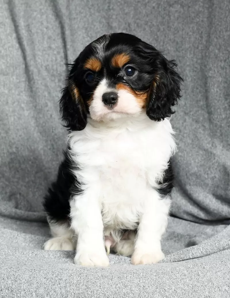 Lenny