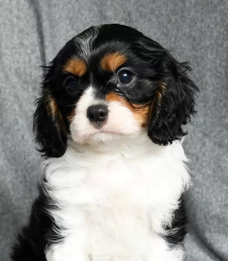 Lenny